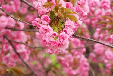 杭州余杭区1线下个人借款平台一站式服务，轻松解决资金难题