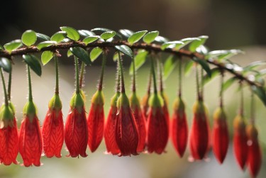 杭州余杭区1零用贷短借：轻松解决临时资金需求