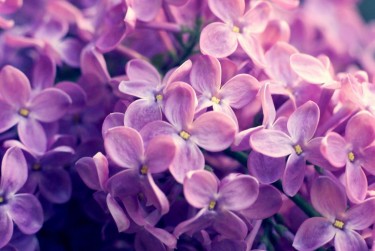 杭州余杭区1企业急用钱贷款攻略：快速融资解燃眉之急